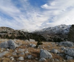 IMG_20201220_095750