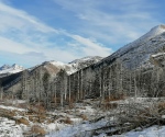 IMG_20201220_105228