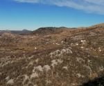 IMG_20201220_132839