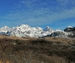 IMG_20201220_140928