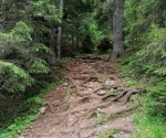 IMG_20200714_162509