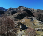 IMG_20201122_104817