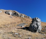 IMG_20201122_114726