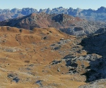 IMG_20201122_124210