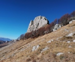 IMG_20201122_133815