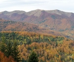 IMG_20201024_092216