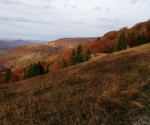 IMG_20201024_092226
