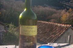 virpazar godinje 2011