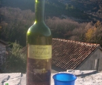 zdravica