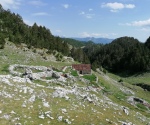 IMG_20210704_154332