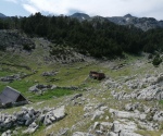 IMG_20210704_154423