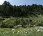 IMG_20210704_160649