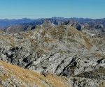 IMG_20201108_125757