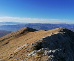 IMG_20201108_140251
