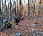 IMG_20201108_161321