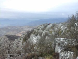 20150111_105218