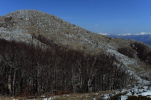 1400 DSC_0497 (1)