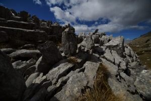 G DSC_0509